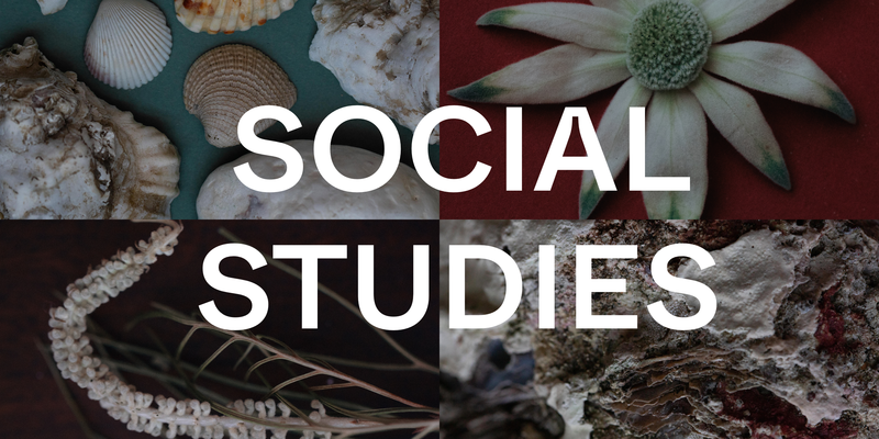 Boutique Spotlight: Social Studies